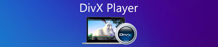 divx format thatvwill play on divx dvd player